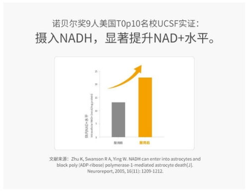 中秋送禮新風(fēng)尚 NMN與NADH等科技健康產(chǎn)品走紅的背后